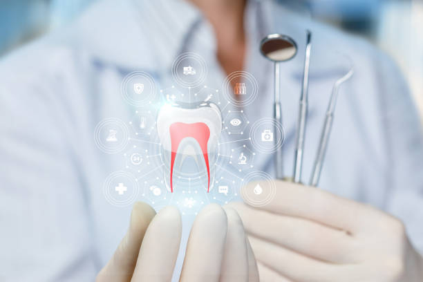 Best Dental Exams and Cleanings  in Mount Carmel, PA